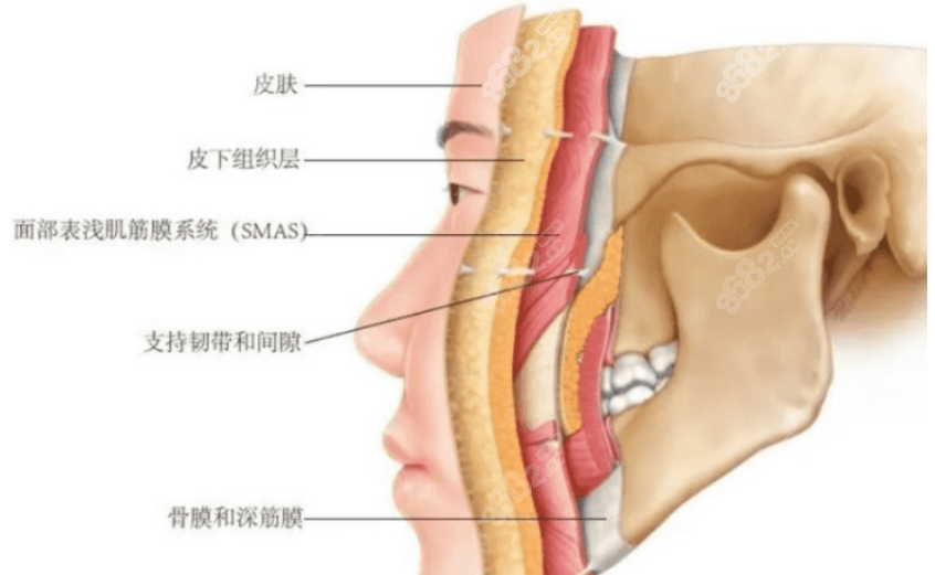 李晓东医生面部提升手术