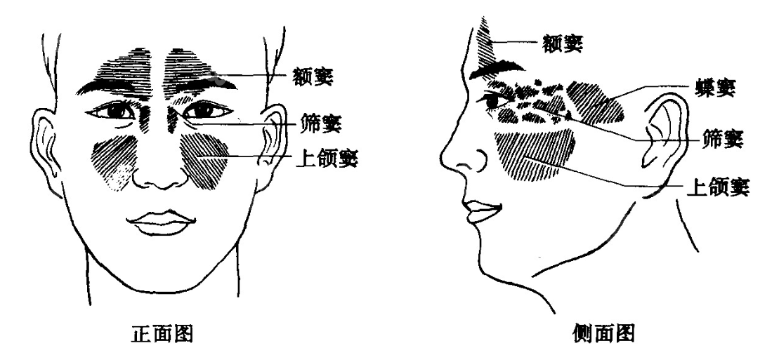 种植牙为什么要做上额窦提升