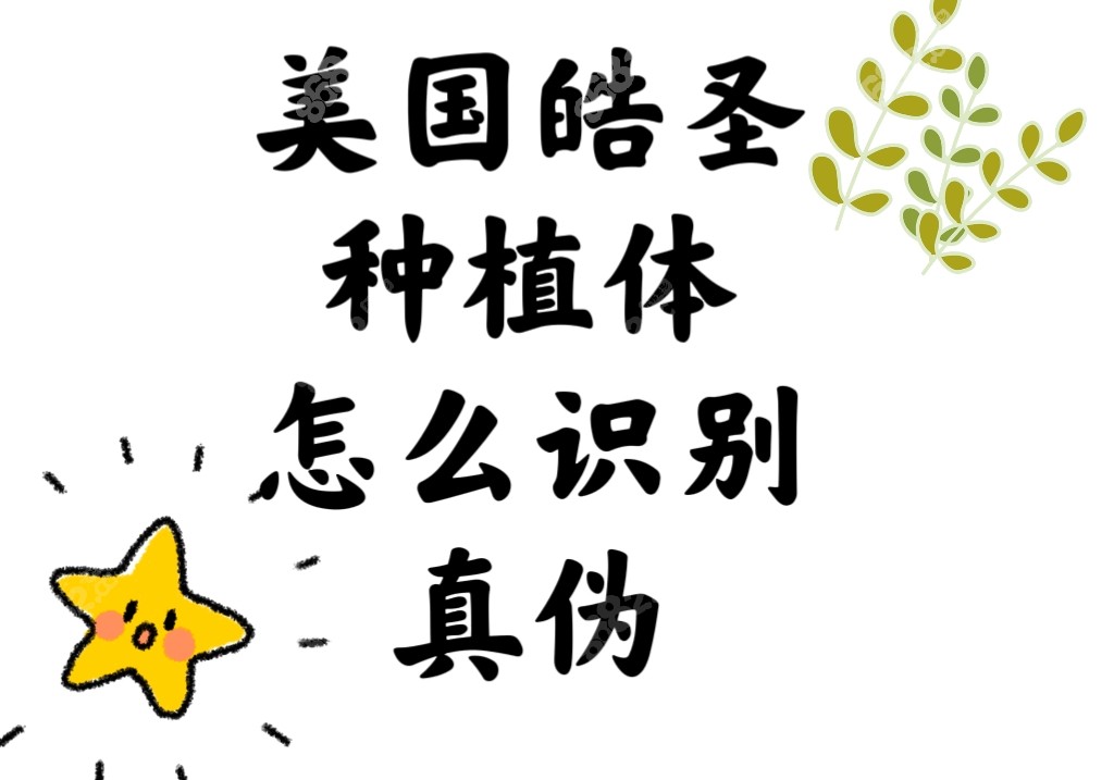 美国晧圣种植体怎么识别真伪