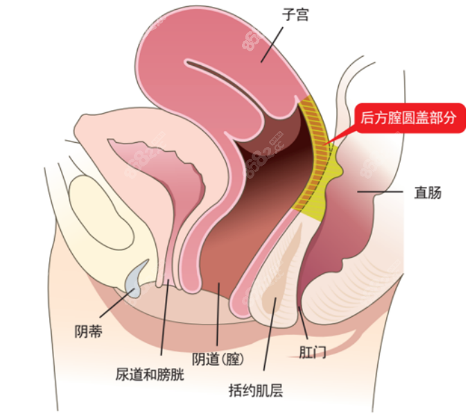 好手艺整形医院私密整形