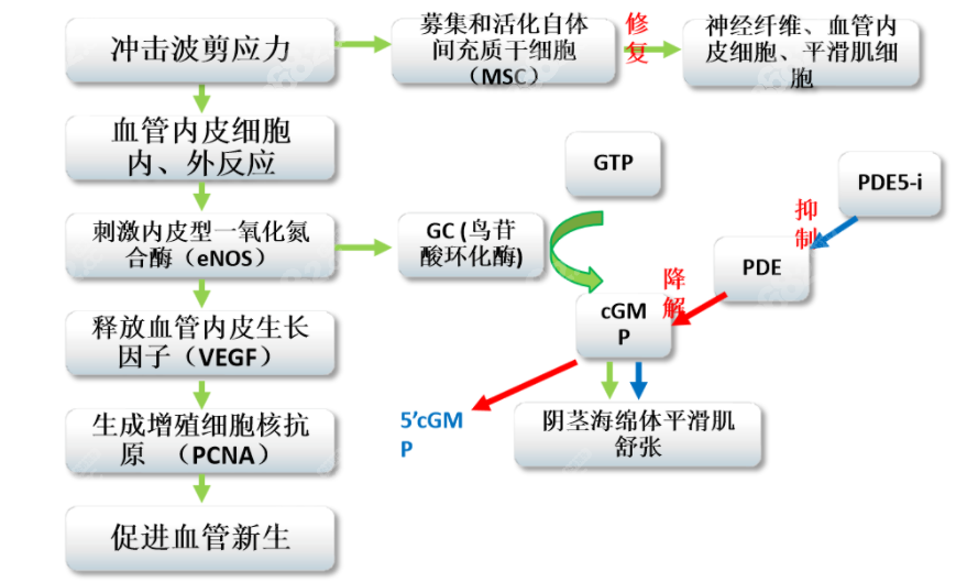 以色列冲击波治疗男科