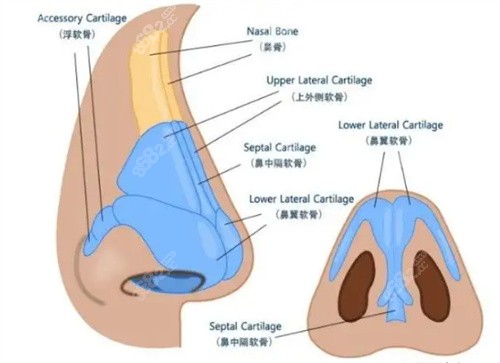 肋软骨隆鼻手术适合那些人？