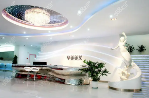 <!--<i data=20240705-sp></i>-->美莱前台