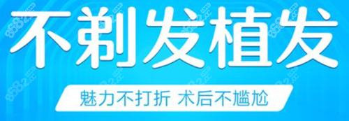 不剃发植发