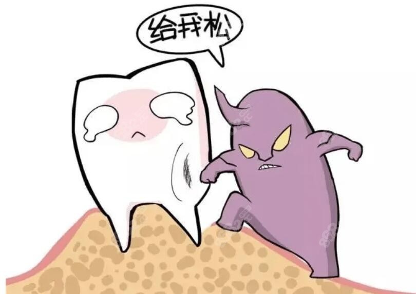 牙齿松动动画图