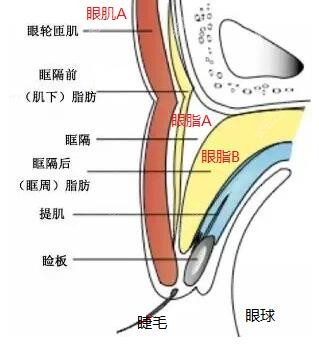 宋桂霞做双眼皮口碑怎么样