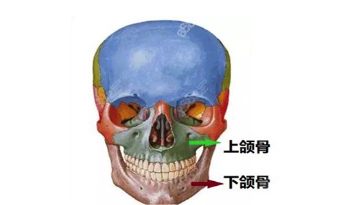 颌面手术