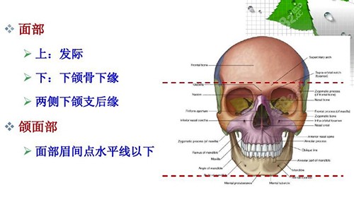 颌面手术