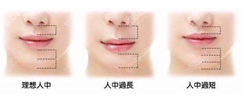 人中不同比例的面部视觉