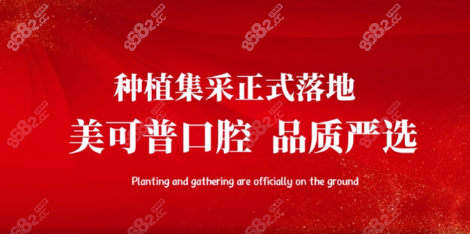 美可普口腔种植牙集采政策落地8682.cc