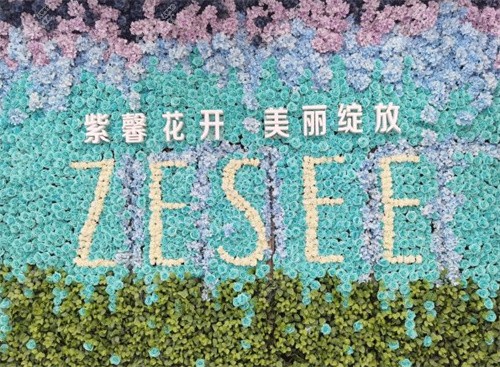 广州紫馨医疗美容医院宣传