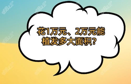 花10000元、20000元能植发多大面积？