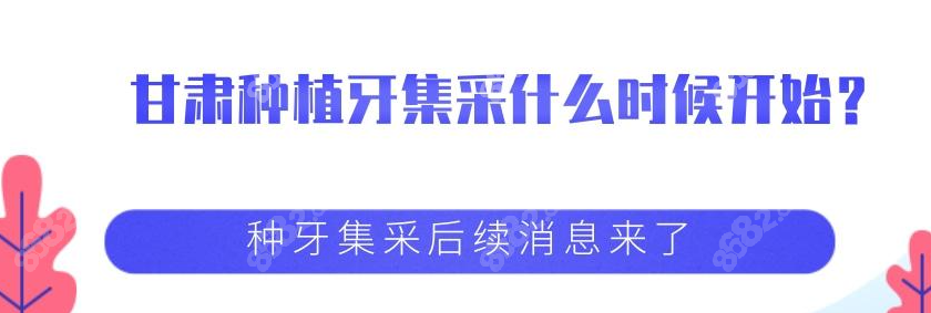 甘肃种牙为什么不降价
