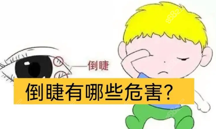 后悔给儿子做倒睫手术