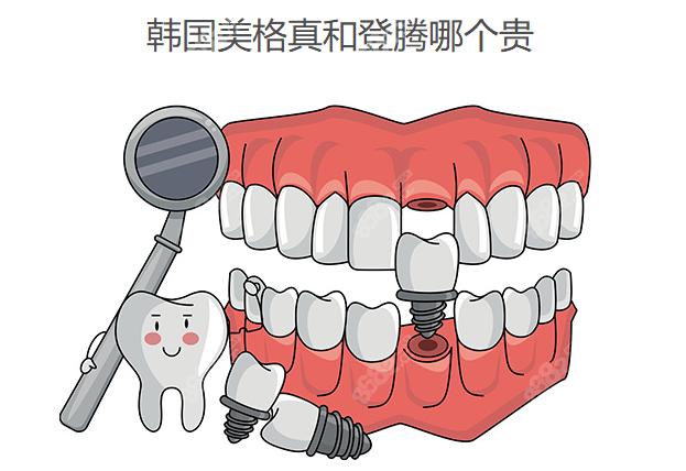 韩国美格真和登腾哪个贵