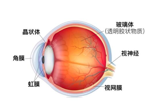 杭州做近视眼手术哪家医院好