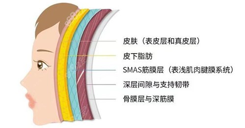 tbm面部提升能维持多久