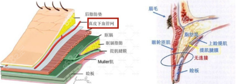 刘志刚医生眼部修复手术