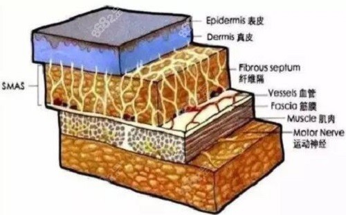 超脂塑吸脂原理