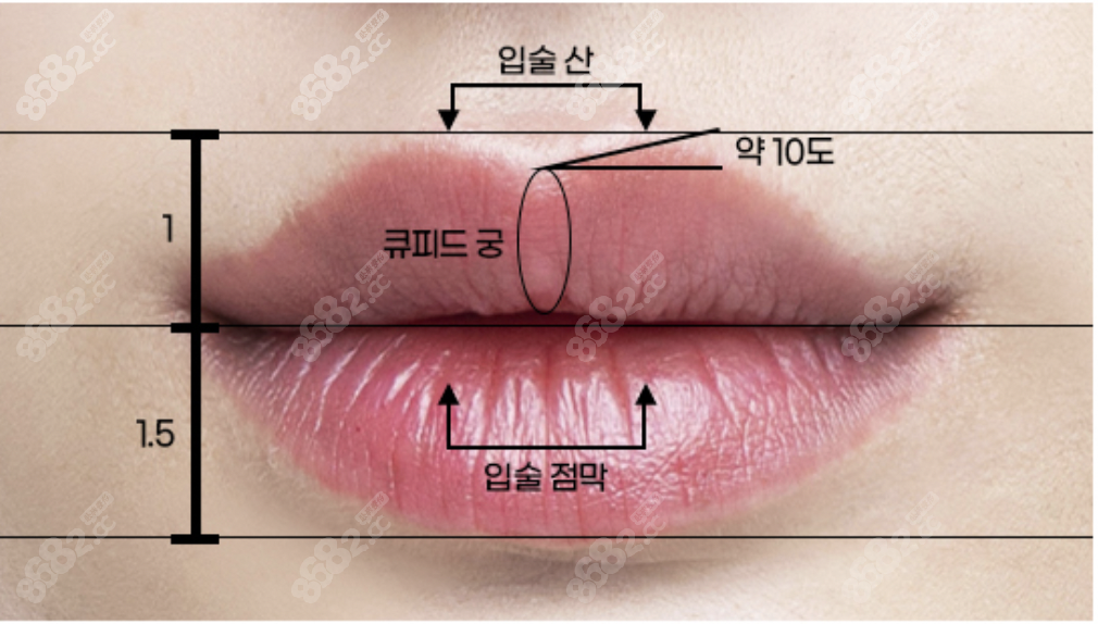 三个心愿整形做唇部整形的原理图www.8682.cc