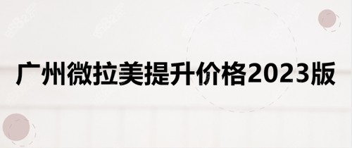 广州微拉美提升价格2023版