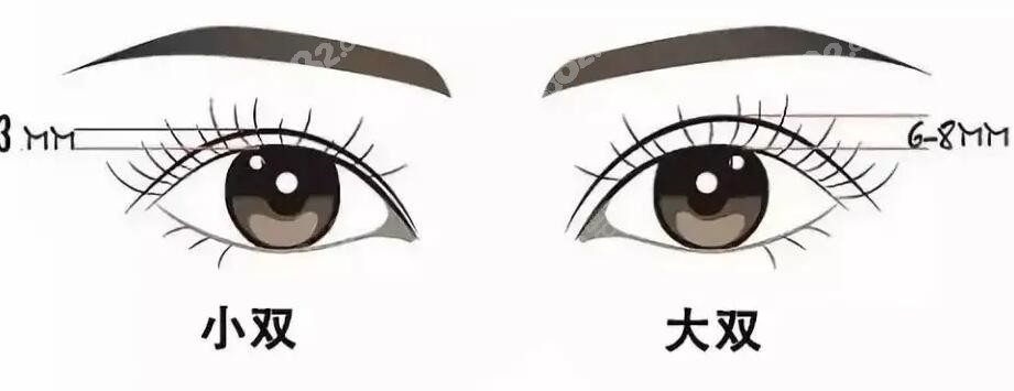 成都娇点文杰的口碑怎么样