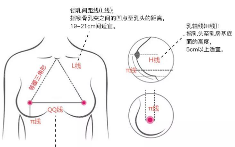 李<!--<i data=20240705-sp></i>-->隆胸审美理念