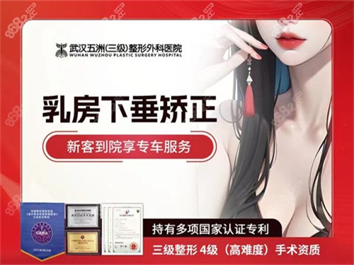 武汉五洲做胸怎么样