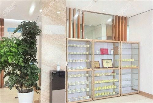 上海康沈口腔医院模型展示