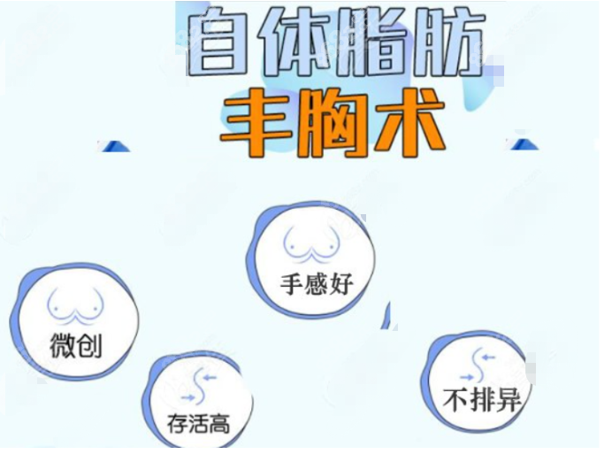美莱<!--<i data=20240705-sp></i>-->个人资料