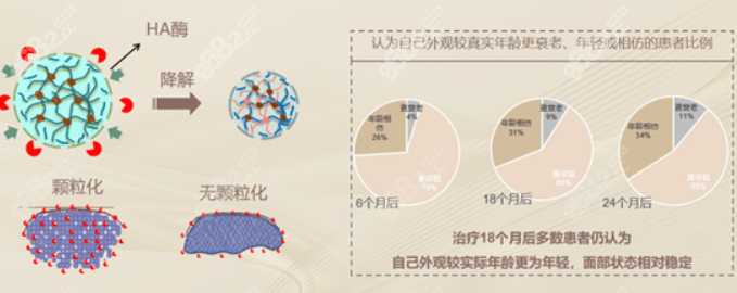 芙妮薇尊雅玻尿酸维持多久