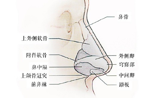 李信锋做鼻子术后反馈