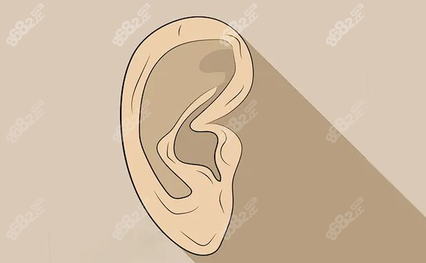 <!--<i data=20240705-sp></i>-->再造耳好#8682網(wǎng)