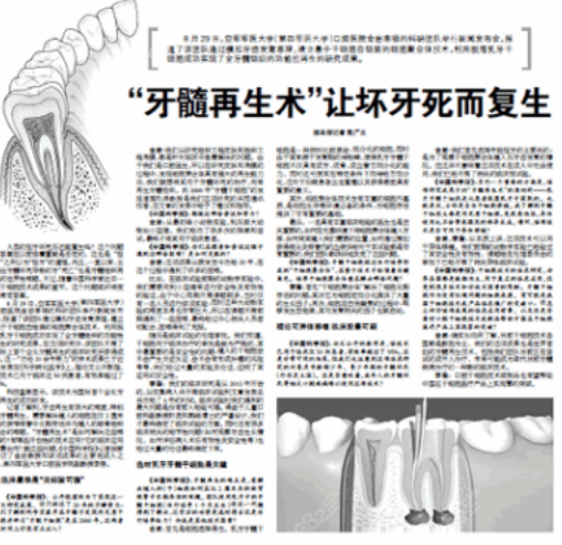 日本再生牙2024年临床了京都大学口腔外科高桥副教,发现了抑制牙齿