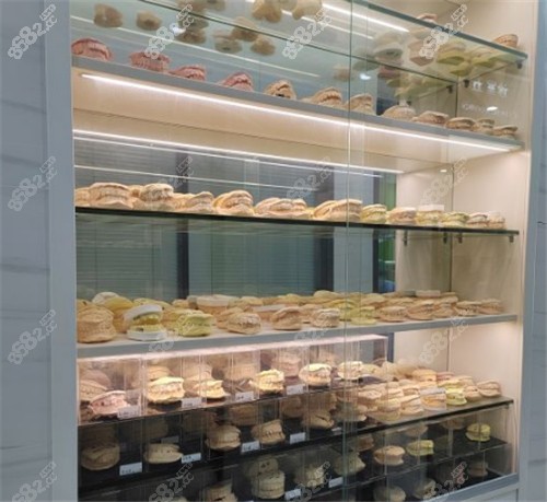 广州麦特登口腔牙模展示柜