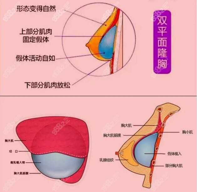 上海朴光哲做胸有名技术好