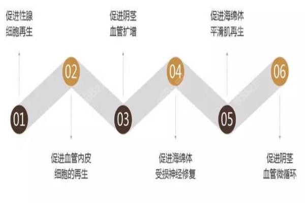 勃起功能障碍治疗过程