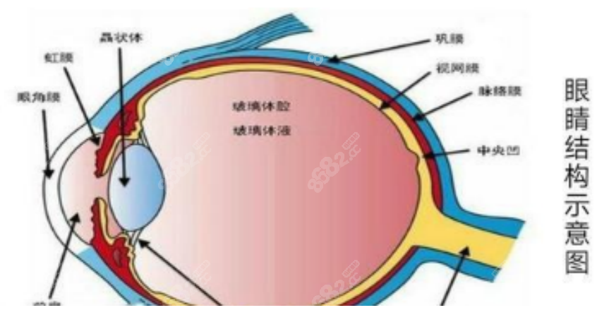 博视眼科医院手术