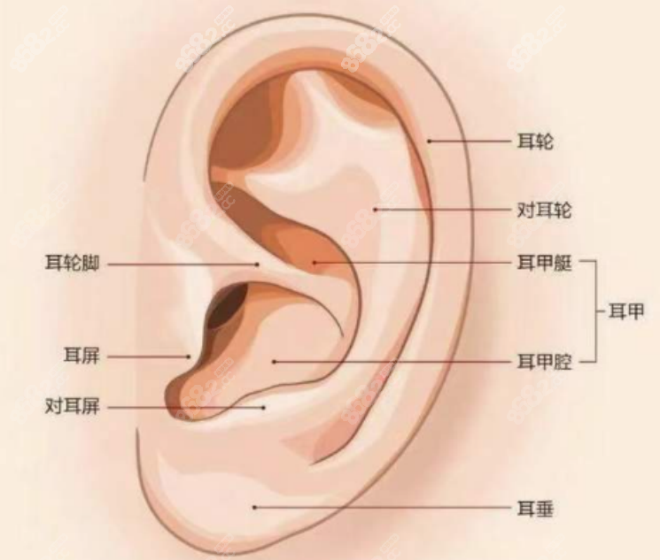 廣<!--<i data=20240705-sp></i>-->寧愛思特醫(yī)院耳再造 廣<!--<i data=20240705-sp></i>-->寧愛思特醫(yī)院耳再造