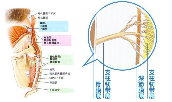 高亚东拉皮手术术后图片