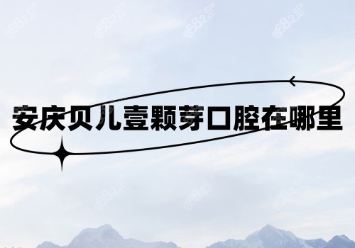 <!--<i data=20240705-sp></i>-->口腔在哪里