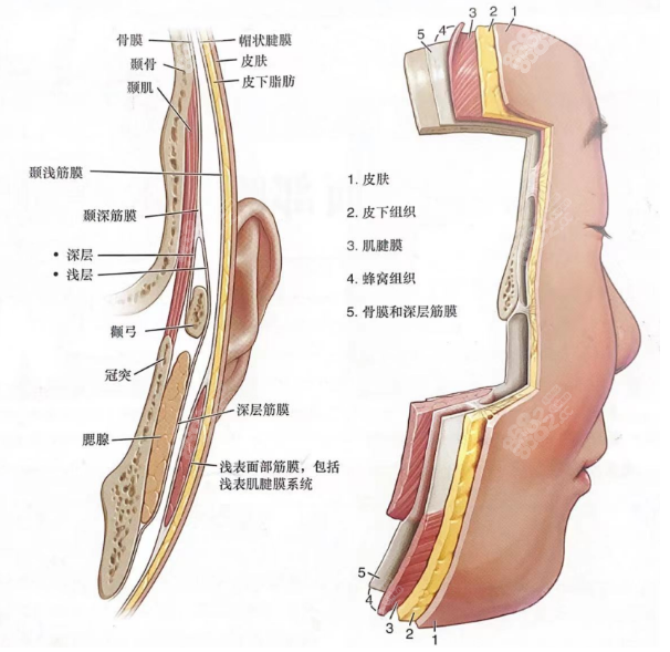 加减美真的那么好吗