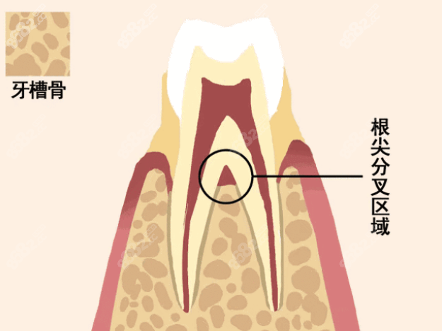 牙龈萎缩8682.cc