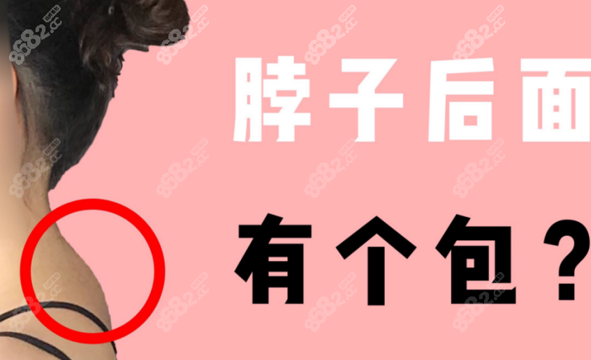 富贵包8682.cc