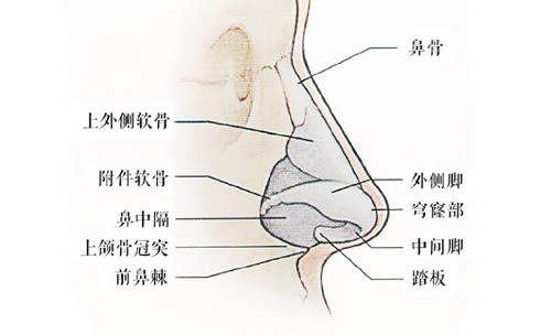 深圳李信锋隆鼻技术优势