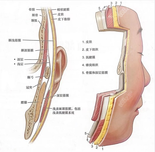 <!--<i data=20240705-sp></i>-->拉皮手术做得怎么样