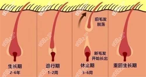 乔洛施外泌体AG有没有副作用？