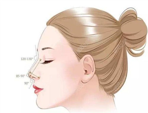 鼻部整形示意图 鼻部整形示意图