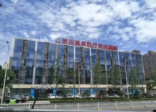武汉美莱医疗美容医院简介