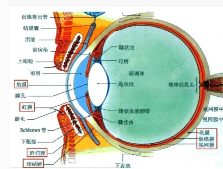 后巩膜加固术